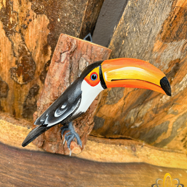 Tucano de Parede na Casca