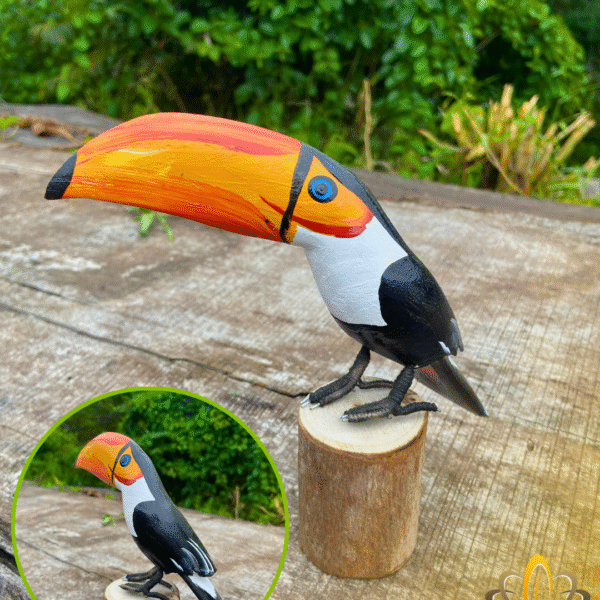 Pássaro no Toco (Tucano)