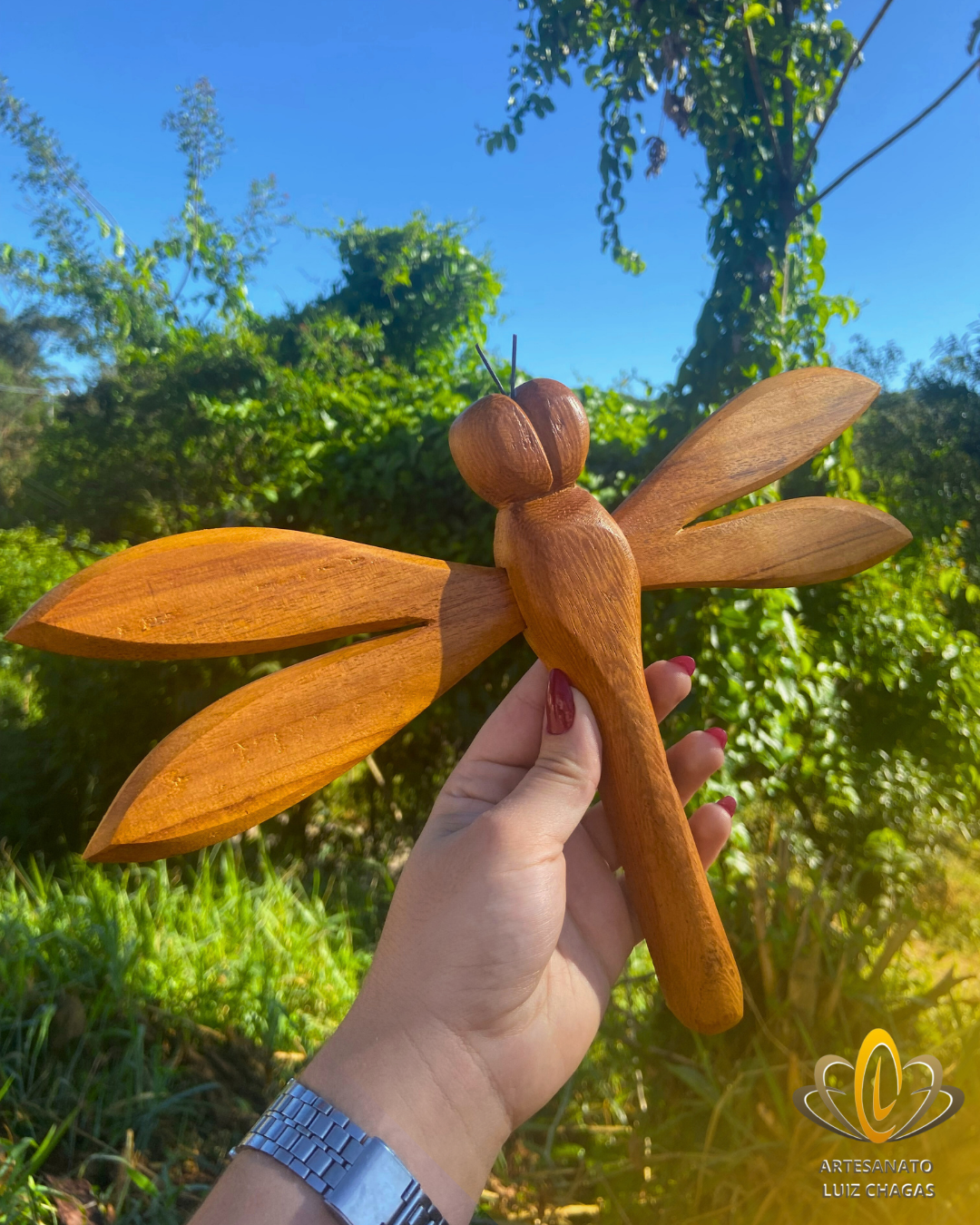 Libélula para Parede Pequena